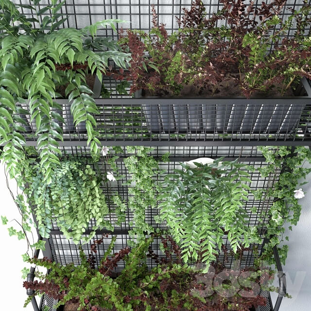 Fitowall JC Wall Grid Plant Pot 5