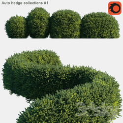 Auto hedge collections 1 