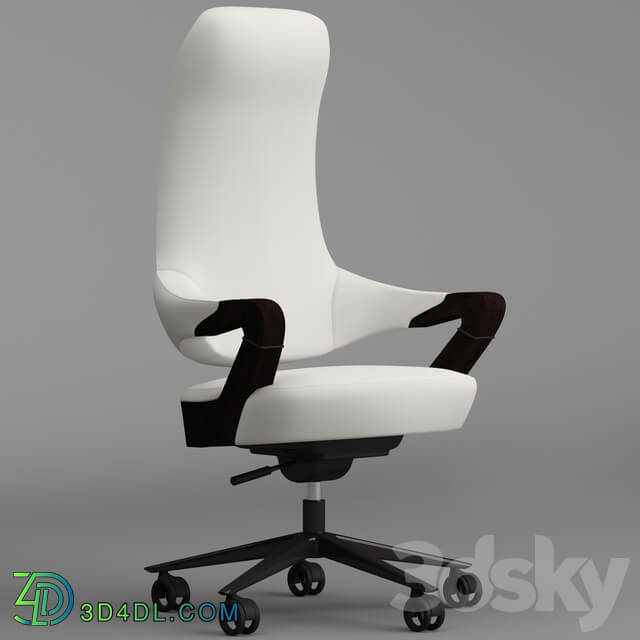 Giorgetti spinger office armchair