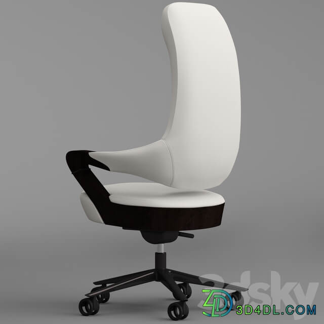 Giorgetti spinger office armchair