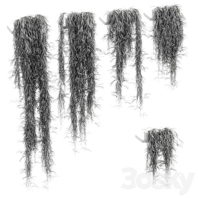 Indoor Hanging plants for shelves. 5 models. set 1