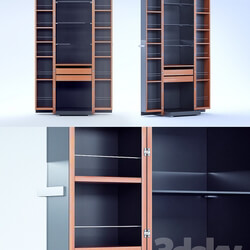 Wardrobe Display cabinets Wogg model 8 wardrobe Designer Hans Eichenberger 