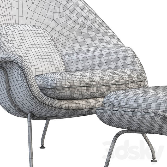 Womb Chair and Ottoman