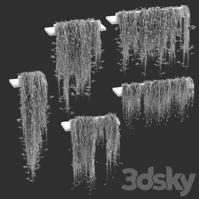 Indoor Hanging plants for shelves. 5 models. set 3