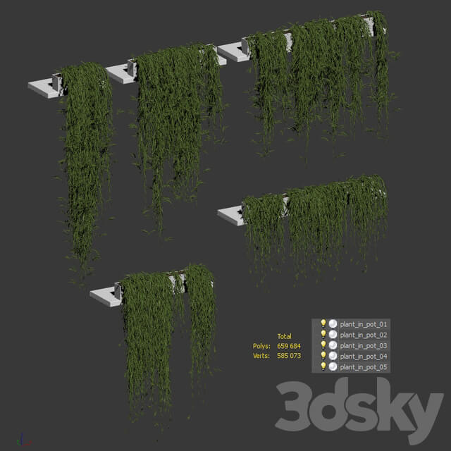 Indoor Hanging plants for shelves. 5 models. set 3