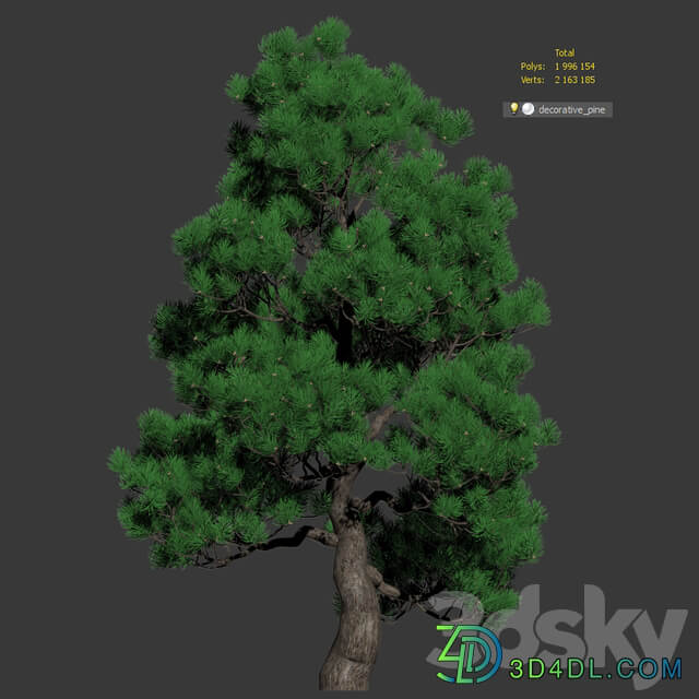 Decorative pine v2