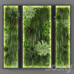 Fitowall Vertical garden 046 