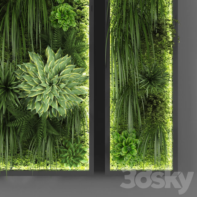 Fitowall Vertical garden 046