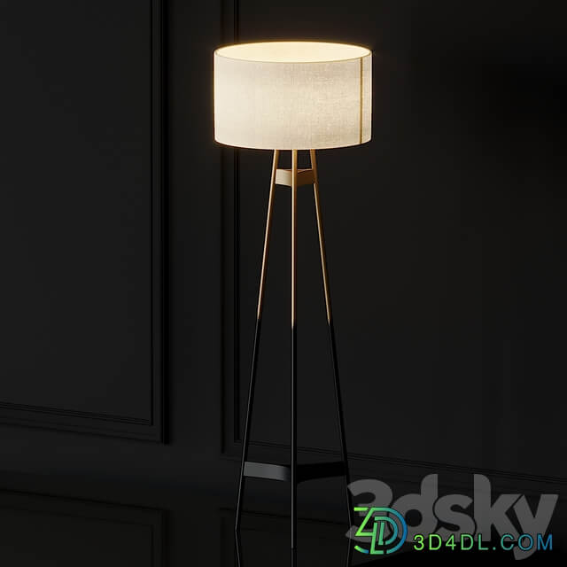 Brace Ombre Floor Lamp Cb2 Exclusive
