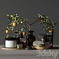 Bathroom decor spa 