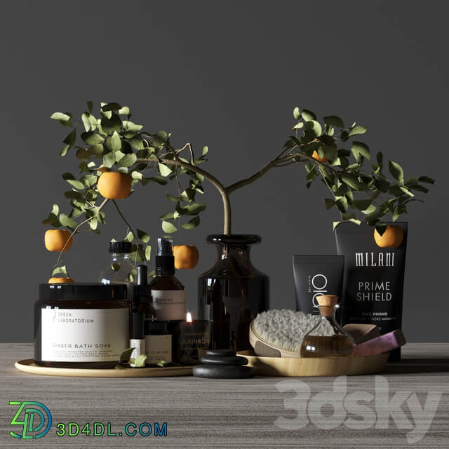 Bathroom decor spa
