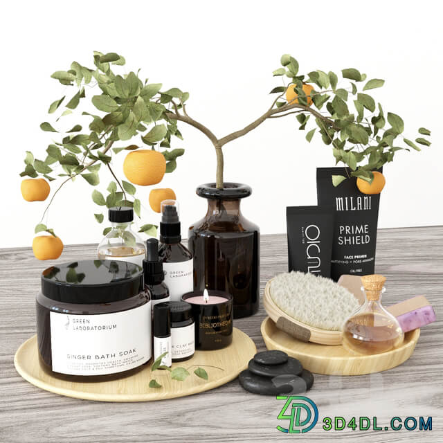 Bathroom decor spa