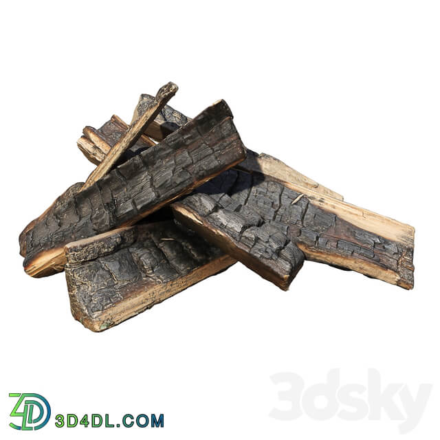 Barbecue and grill Bonfire