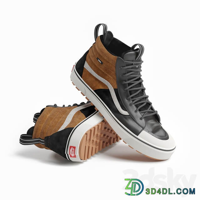 Footwear Vans and converse shoes