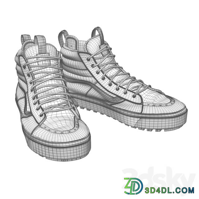 Footwear Vans and converse shoes