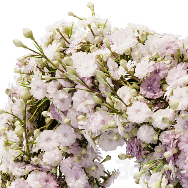 gypsophila wreath