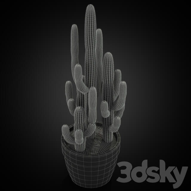 Plants collection 254