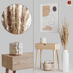Decoration Set 04 pampas Console 
