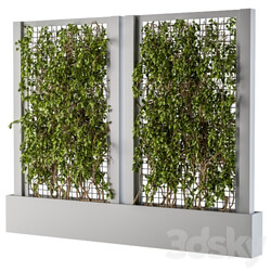 ivy Box Plants Gray 