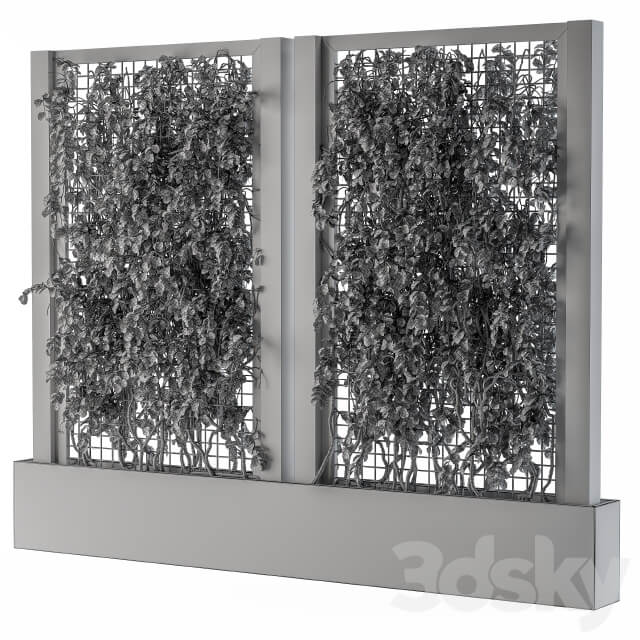 ivy Box Plants Gray