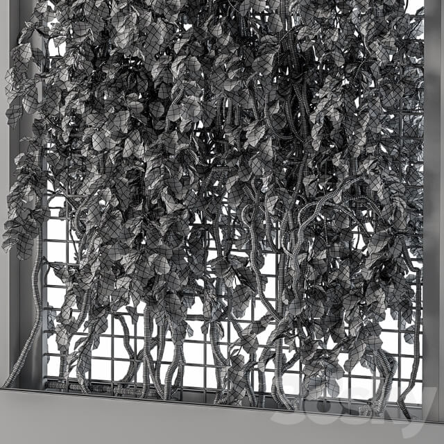 ivy Box Plants Gray