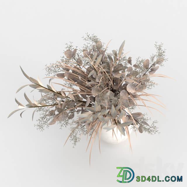 Bouquet of dried flowers