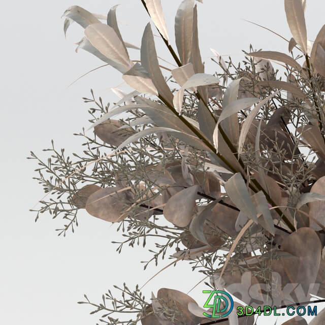 Bouquet of dried flowers