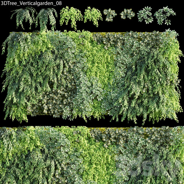 Fitowall Verticalgarden Green wall 08