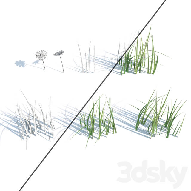 Uncut grass lawn