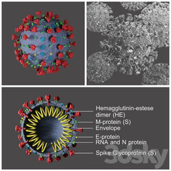 Covid 19 Coronavirus 