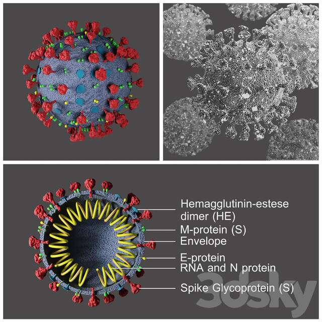 Covid 19 Coronavirus