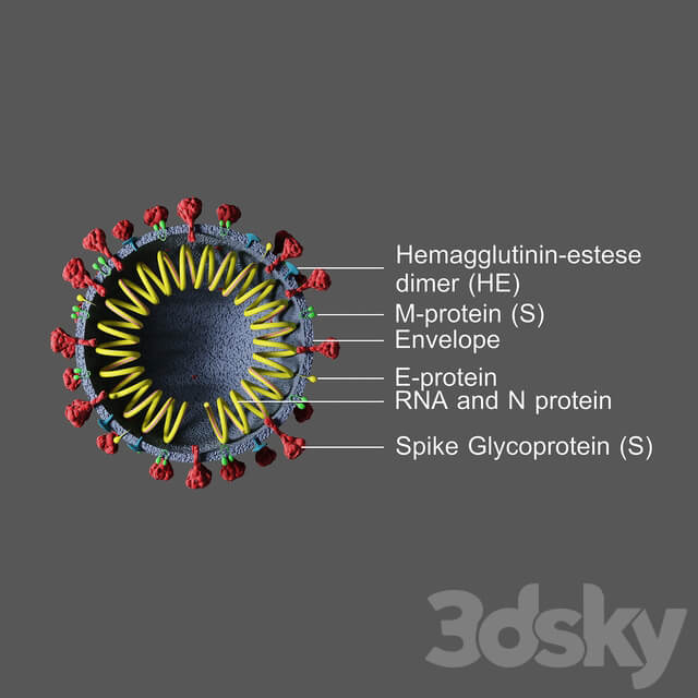Covid 19 Coronavirus