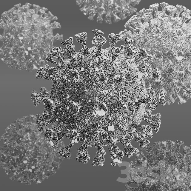 Covid 19 Coronavirus