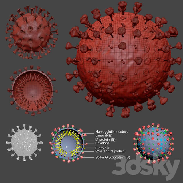Covid 19 Coronavirus