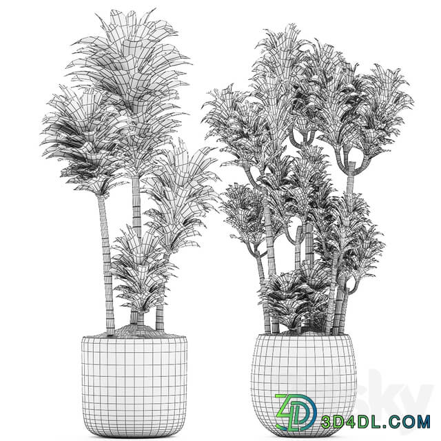 Plant Collection 533. 3D Models