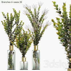 Branches in vases 39 