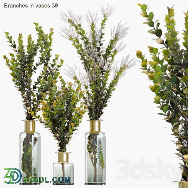Branches in vases 39