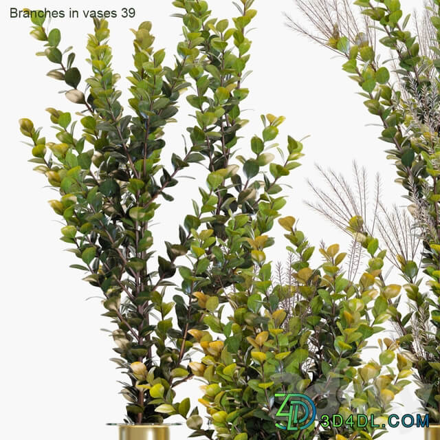 Branches in vases 39