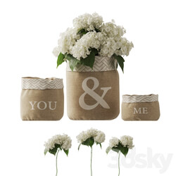 white hydrangea changeable vase 