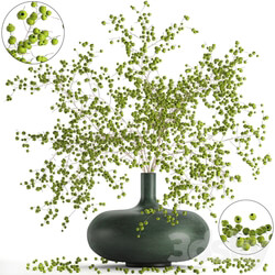 Bouquet 97. Branches berries. 3D Models 