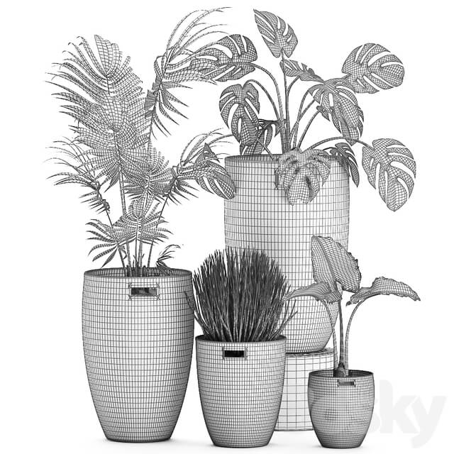 Plant Collection 570. 3D Models