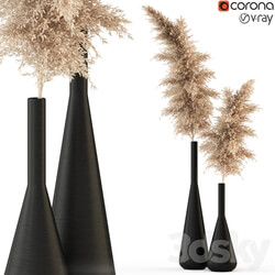 Plants collection 316 
