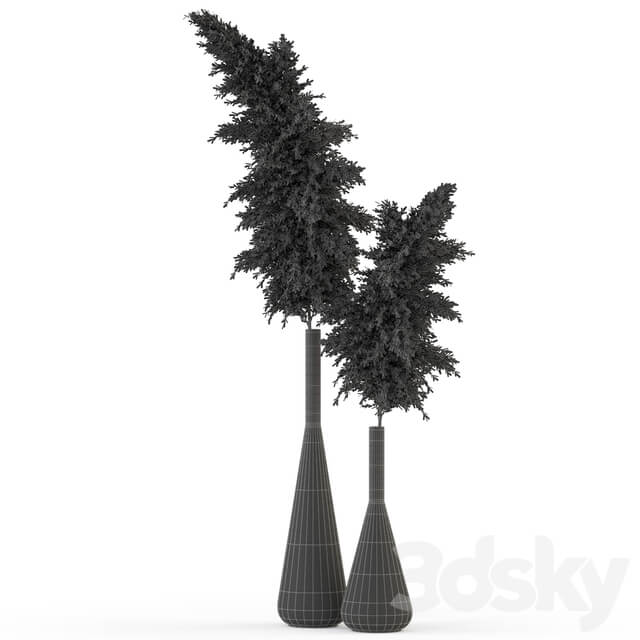 Plants collection 316