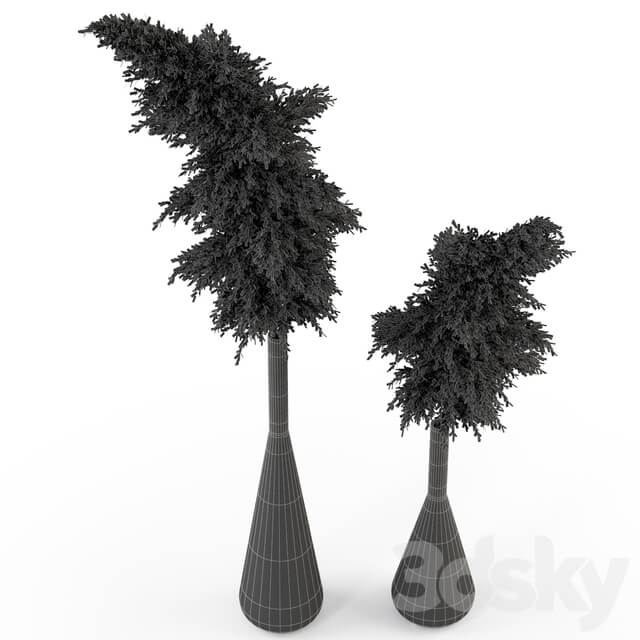 Plants collection 316