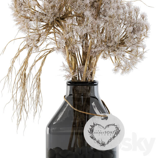 Dry plants 09