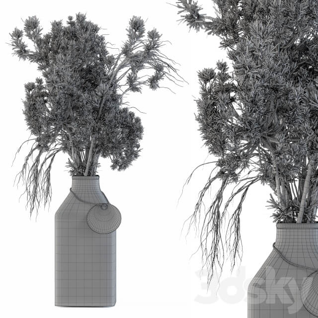 Dry plants 09