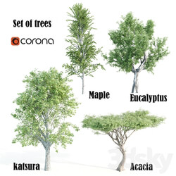 set of tree05 
