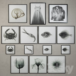 Restoration Hardware Nick Veasey x ray photography 