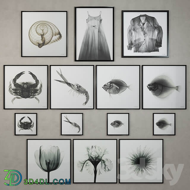 Restoration Hardware Nick Veasey x ray photography