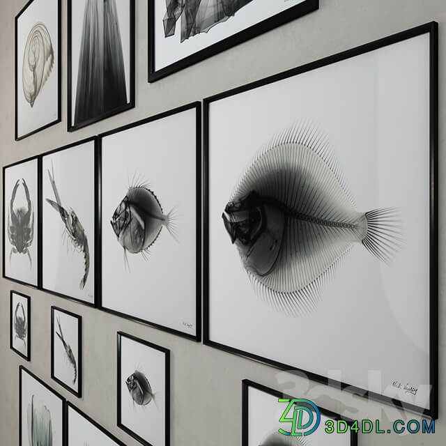 Restoration Hardware Nick Veasey x ray photography